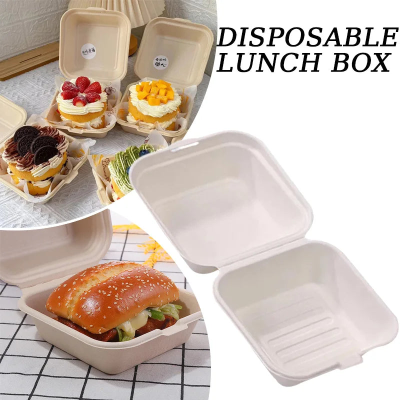 Eco-Friendly Disposable Bento Container for Salad & Desserts - PARIS Market.